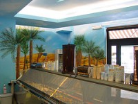 /album/galleria-foto-galleria-fotografica1/gelateri4-jpg/